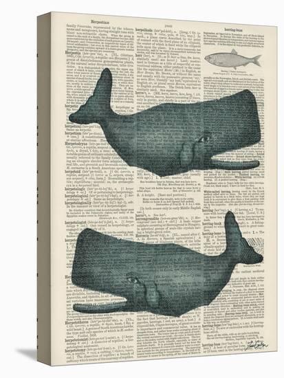 Sperm Whale-Tina Carlson-Stretched Canvas