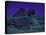 Sphinx and Great Pyramid at Giza, in Moonlight, Egypt-James Burke-Premier Image Canvas