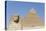 Sphinx and Pyramid of Chephren, the Giza Pyramids, Giza, Egypt, North Africa, Africa-Richard Maschmeyer-Premier Image Canvas