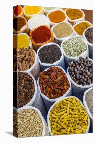 Spice Shop at the Wednesday Flea Market in Anjuna, Goa, India, Asia-Yadid Levy-Premier Image Canvas