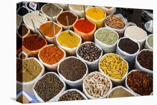 Spice Stall at Mapusa Market, Goa, India, Asia-Yadid Levy-Premier Image Canvas