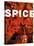 Spice Things Up-Dave Bartruff-Stretched Canvas