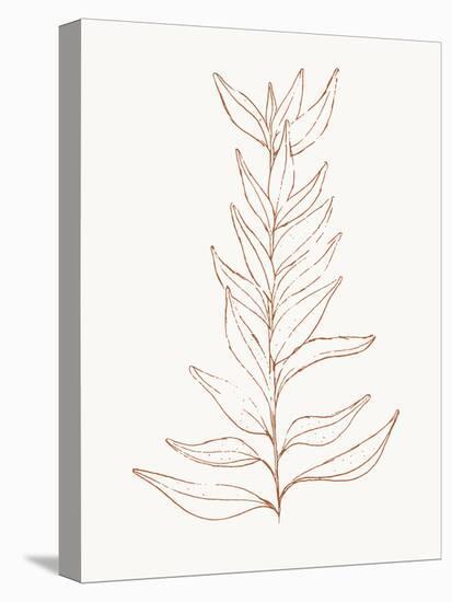 Spice Up Your Life Botanical Outline 2-Sweet Melody Designs-Stretched Canvas