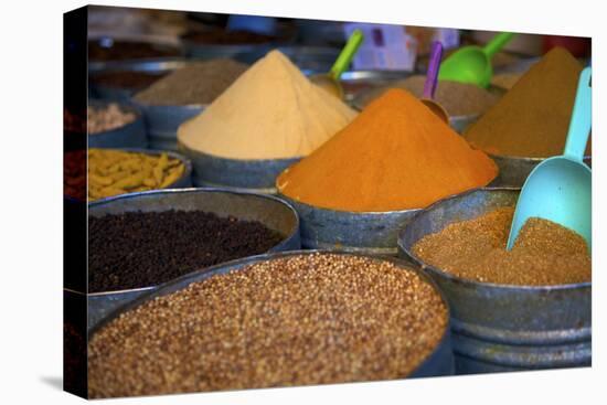 Spices, Fez, Morocco, North Africa, Africa-Neil Farrin-Premier Image Canvas