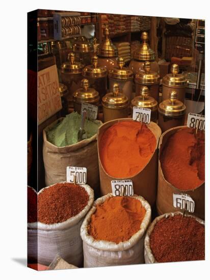 Spices in the Market, Istanbul, Turkey, Europe-Woolfitt Adam-Premier Image Canvas