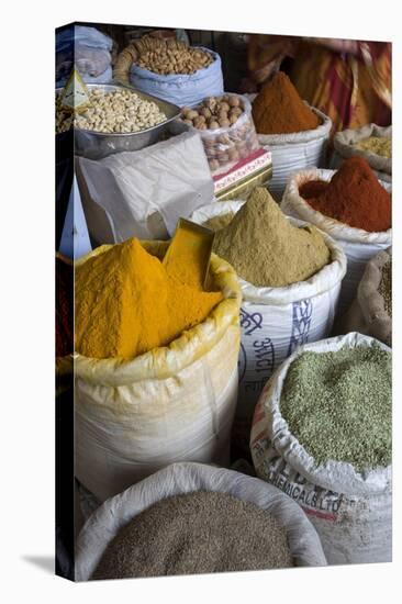 Spices, Jaipur, Rajasthan, India, Asia-Doug Pearson-Premier Image Canvas
