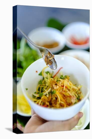 Spicy salad, Vietnamese food, Vietnam, Indochina, Southeast Asia, Asia-Alex Robinson-Premier Image Canvas