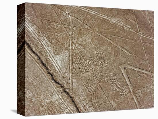 Spider, Lines and Geoglyphs of Nasca, UNESCO World Heritage Site, Peru, South America-Christian Kober-Premier Image Canvas