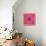 Spider, Pink Crab Spider-Belen Mena-Premier Image Canvas displayed on a wall