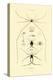 Spiders, 1833-39-null-Premier Image Canvas