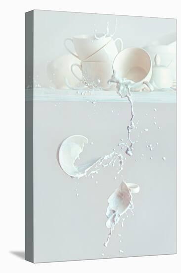 Spilled Milk-Dina Belenko-Premier Image Canvas