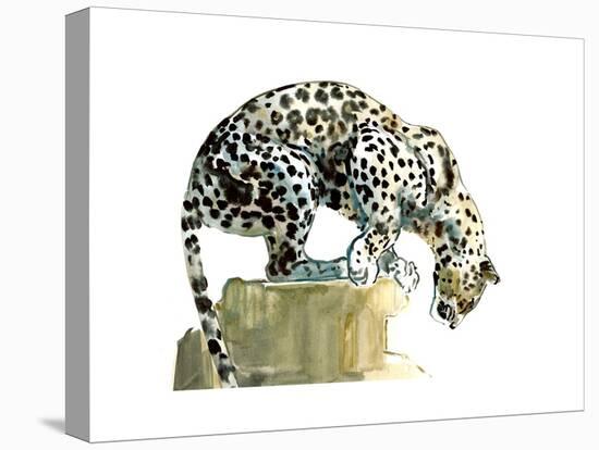 Spine (Arabian Leopard), 2015-Mark Adlington-Premier Image Canvas