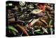 Spinning Fishing Lures-null-Stretched Canvas