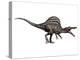 Spinosaurus Dinosaur, Artwork-SCIEPRO-Premier Image Canvas