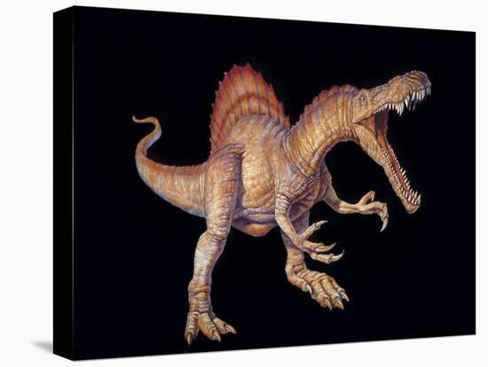 Spinosaurus Dinosaur-Joe Tucciarone-Premier Image Canvas