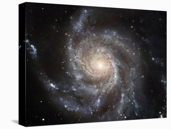 Spiral Galaxy M101-null-Premier Image Canvas