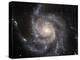 Spiral Galaxy M101-null-Premier Image Canvas