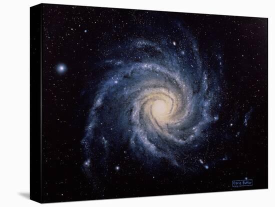 Spiral Galaxy M74-Chris Butler-Premier Image Canvas