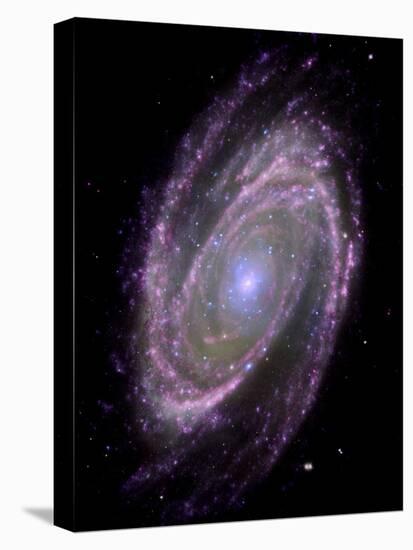 Spiral Galaxy M81, Composite Image-null-Premier Image Canvas