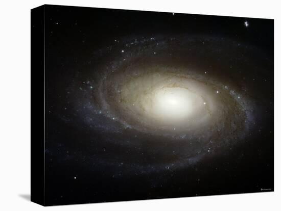 Spiral Galaxy M81-Stocktrek Images-Premier Image Canvas