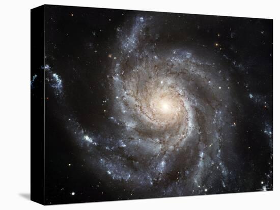 Spiral Galaxy Messier 101 (M101)-Stocktrek Images-Premier Image Canvas