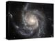 Spiral Galaxy Messier 101 (M101)-Stocktrek Images-Premier Image Canvas