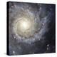 Spiral Galaxy Messier 74-Stocktrek Images-Premier Image Canvas