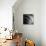 Spiral Staircase No. 1-PhotoINC Studio-Stretched Canvas displayed on a wall