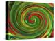 Spiralicious-Herb Dickinson-Premier Image Canvas