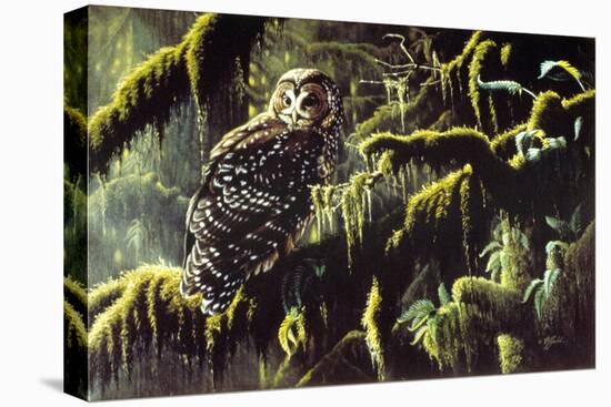 Spirit of Ancient Forests - Spotted Owl-Wilhelm Goebel-Premier Image Canvas