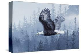 Spirit of the Forest-Telander-Stretched Canvas