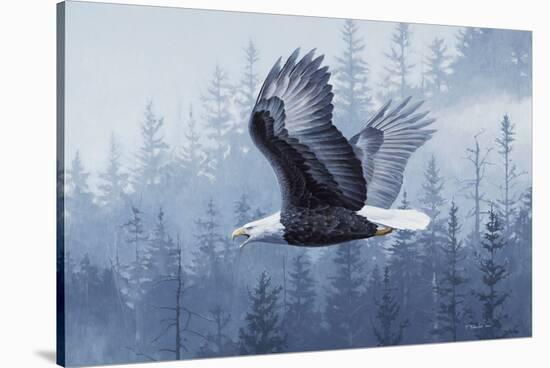 Spirit of the Forest-Todd Telander-Stretched Canvas