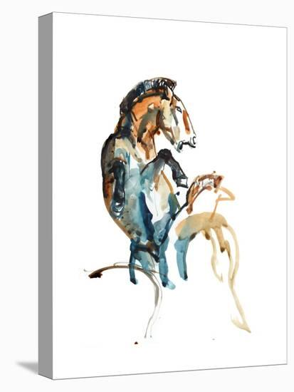 Spirit (Przewalski), 2013-Mark Adlington-Premier Image Canvas