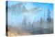 Spirits of Yellowstone-Gordon Semmens-Premier Image Canvas