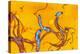 Spirochete Bacteria, TEM-Hazel Appleton-Premier Image Canvas