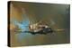 Spitfire-Barrie Clark-Stretched Canvas