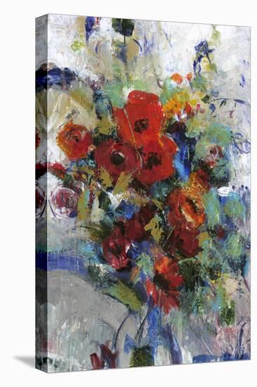 Splash of Color II-Tim O'toole-Stretched Canvas