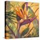 Splash of the Tropics I-Nanette Oleson-Stretched Canvas