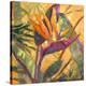 Splash of the Tropics I-Nanette Oleson-Stretched Canvas