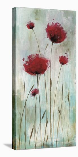 'Splash Poppies I' Stretched Canvas Print - Catherine Brink | Art.com