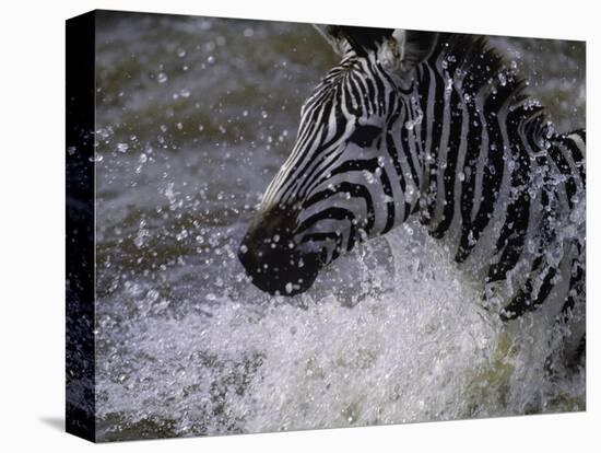 Splash-Art Wolfe-Premier Image Canvas