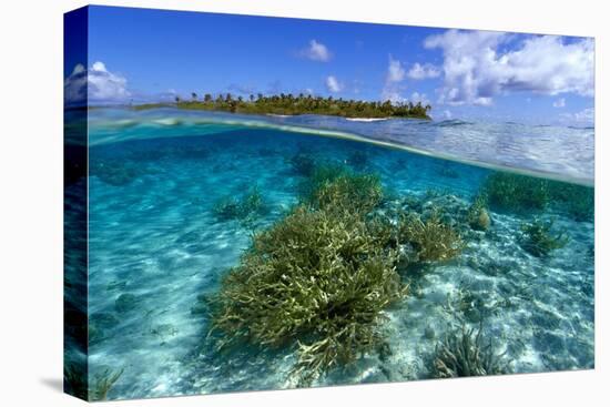 Split image of staghorn coral, Acropora sp., and uninhabited island, Ailuk atoll, Marshall Islands-Andre Seale-Premier Image Canvas