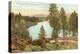 Spokane River, Spokane, Washington-null-Stretched Canvas