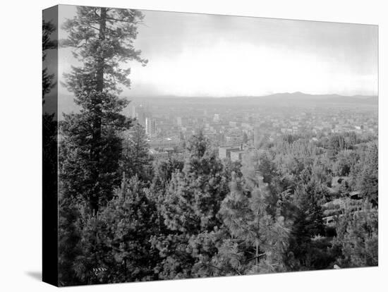 Spokane Through the Trees, 1915-Asahel Curtis-Premier Image Canvas