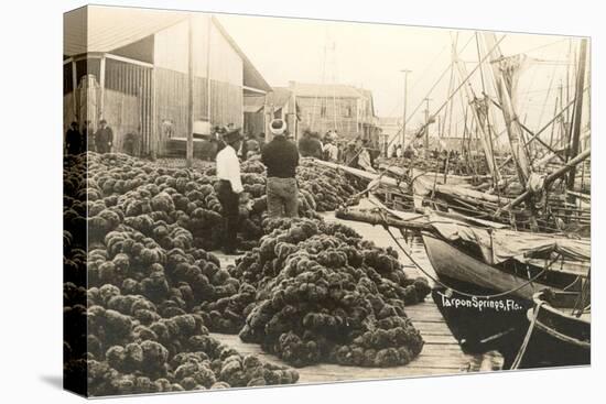 Sponge Harvest, Tarpon Springs, Florida-null-Stretched Canvas