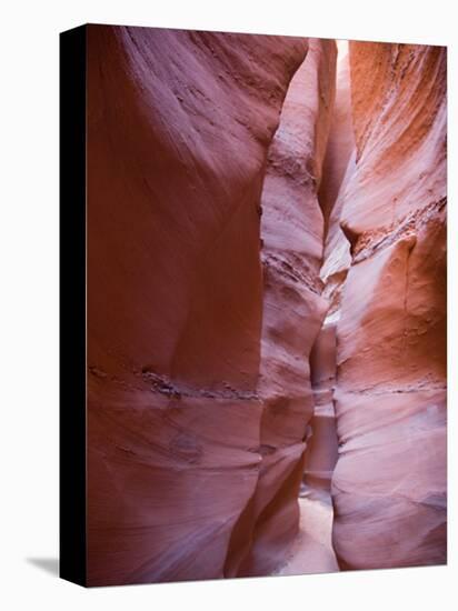 Spooky Gulch, Grand Staircase Escalante National Monument, Utah, USA-Jamie & Judy Wild-Premier Image Canvas