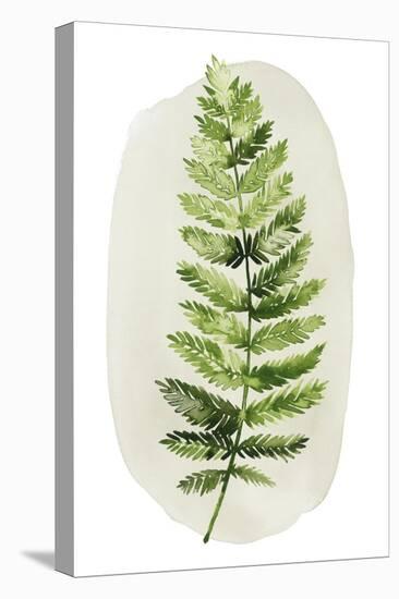 Spot Fern II-null-Stretched Canvas