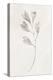 Spotted Botanical 1-Kimberly Allen-Stretched Canvas