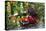 Spotted Crockery and Berries on Old Garden Bench-Andrea Haase-Premier Image Canvas