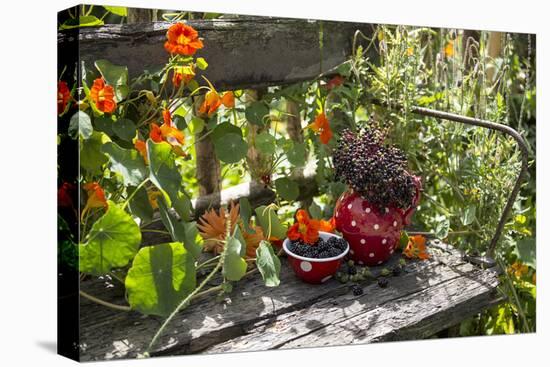 Spotted Dishes with Berries and Blossoms on Old Garden Bench-Andrea Haase-Premier Image Canvas